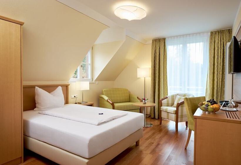 Номер Deluxe Одноместный, Flair Hotel Schwanen