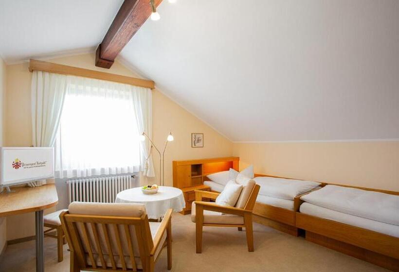 Номер Стандартный с Видом, Gästehaus Prinzregent Luitpold