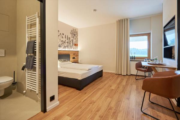 Номер Deluxe Одноместный, Landgasthof Kreuz