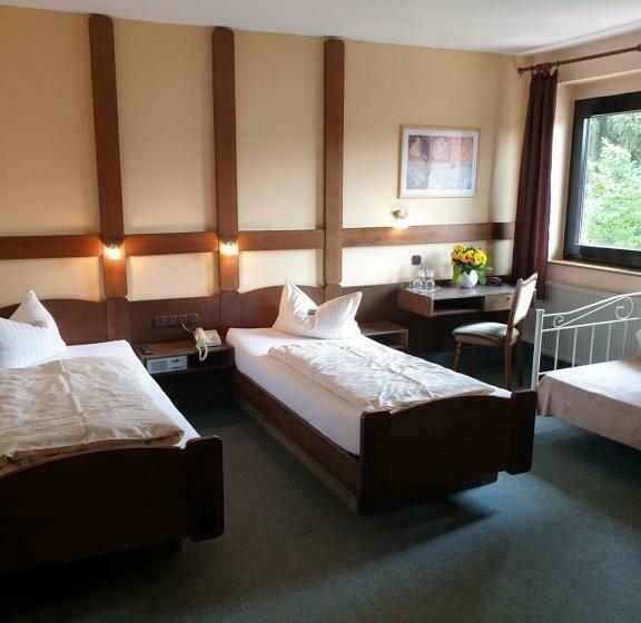 Номер Стандарт Трехместный, Heidehotel Anna