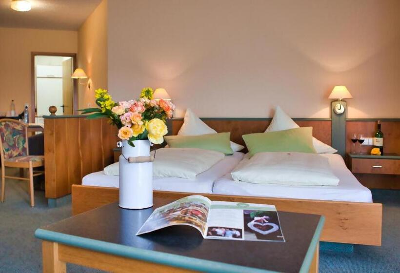 Номер Стандарт, Landhotel Henkenhof Willingen