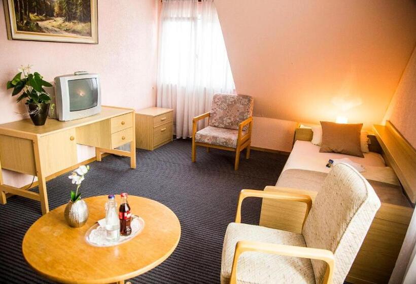 Номер Стандарт Трехместный, Stadt Peine