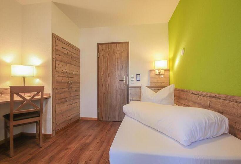 Номер Стандарт Индивидуальный, Landgasthof Hotel Rebstock