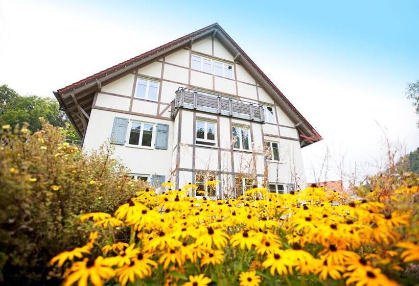 Апартаменты 1 Спальня, Landhotel Gasthof Wittstaig