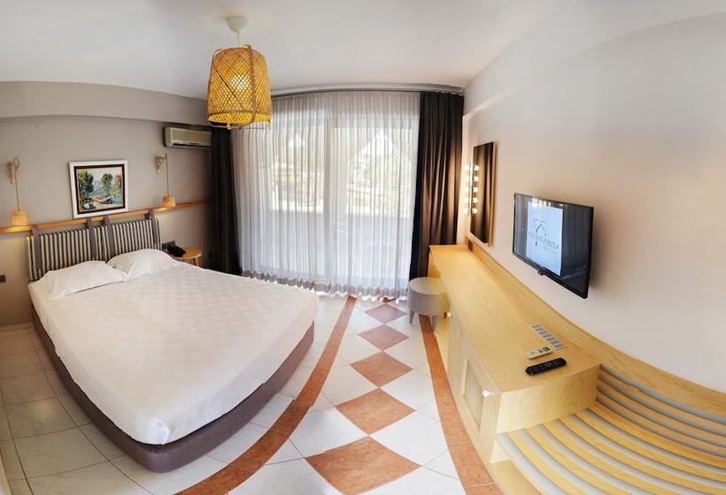 Номер Deluxe Одноместный, Arinnanda Otel