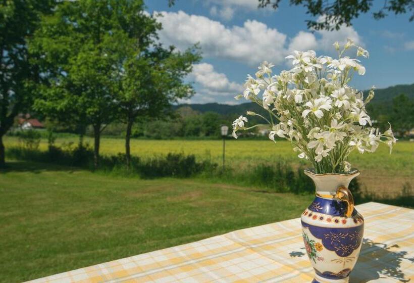 이코노미 룸, Bed & Breakfast Eckwirt
