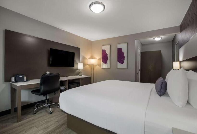 장애인을 위한 킹사이즈 침대 스탠다드 룸, Sunset West Hotel, Surestay Collection By Best Western