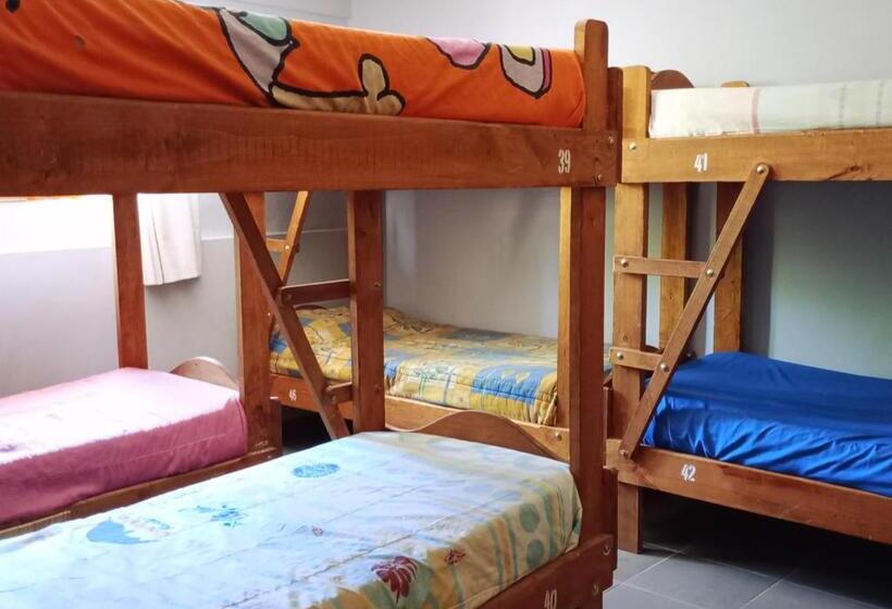 Кровать в Общей Комнате, Corinto Hostel