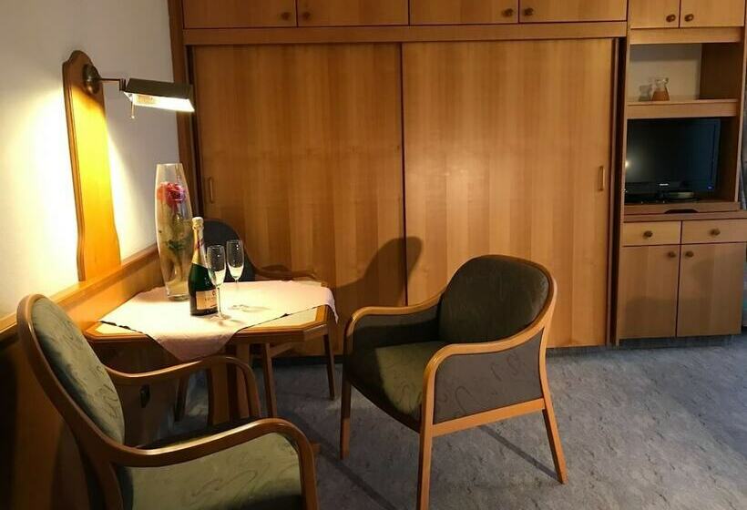 Номер Superior Одноместный, Appartementhotel Cura Bad Füssing