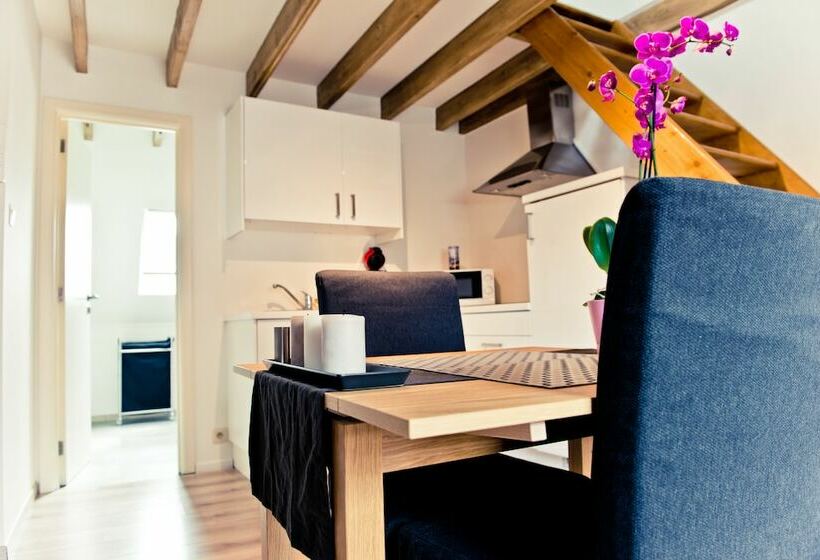 Апартаменты Дюплекс 1 Спальня, Appart Hotel Léopold Liège Centre