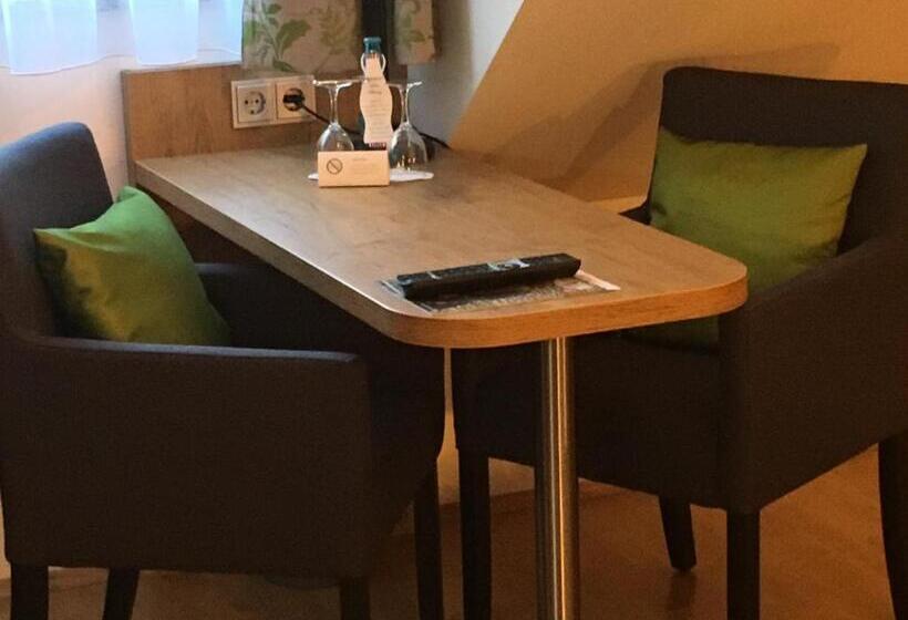 Студио Стандарт Вид на Сад, Parkhotel Leiser