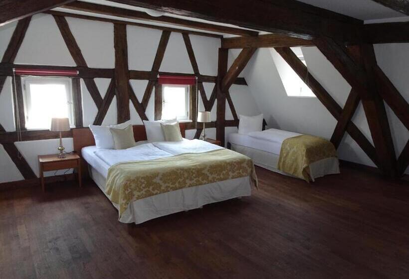 套房, Altstadthotel Molitor