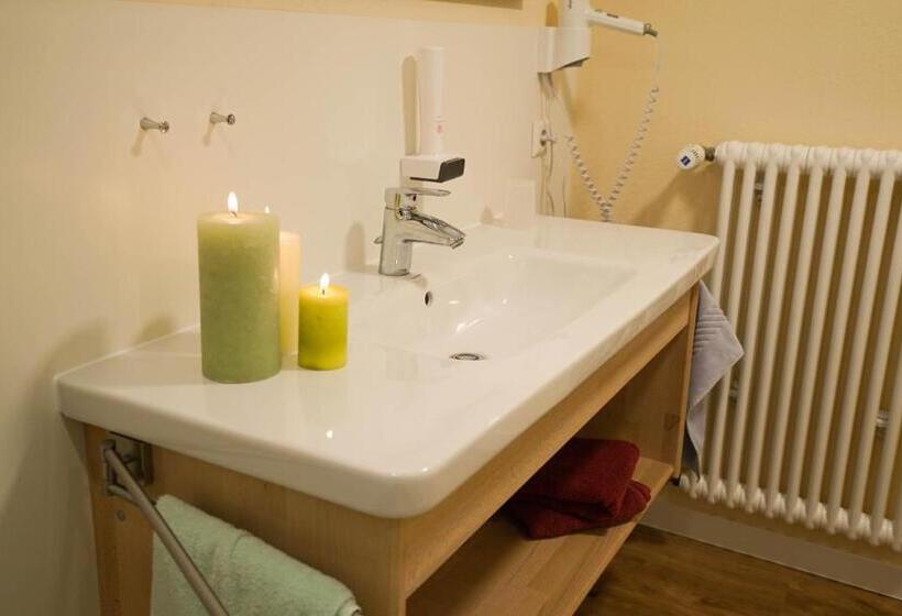 Номер Стандарт, Appartementhotel Breitmattstub