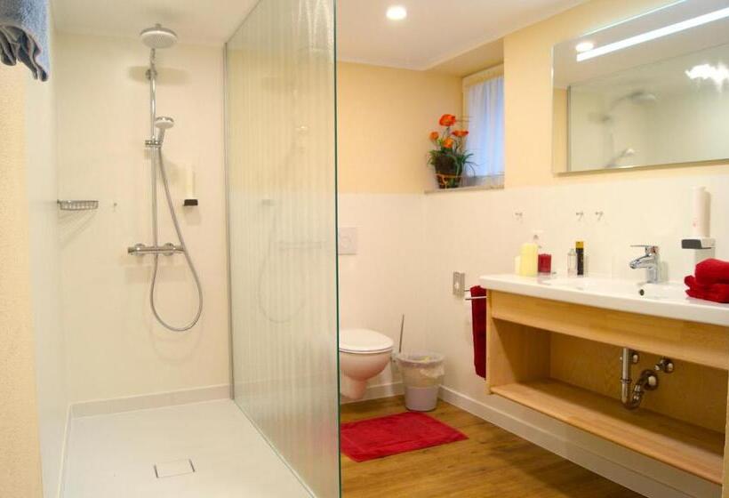 Апартаменты 1 Спальня, Appartementhotel Breitmattstub