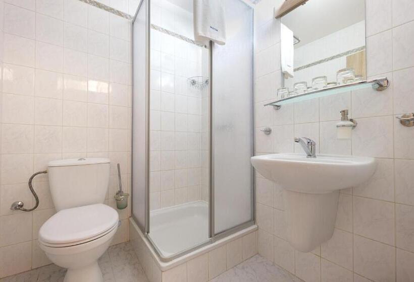 Четырехместный Номер Стандарт, Penzion Posada