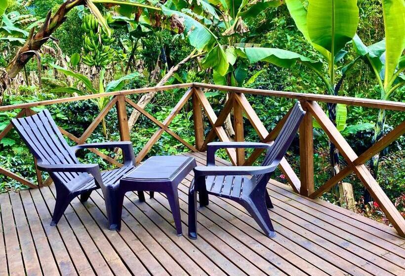 Шале 1 Спальня, Finca Agroturistica Descubre Tu Regalo