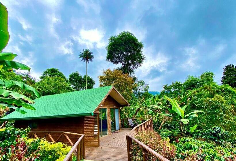 Шале 1 Спальня, Finca Agroturistica Descubre Tu Regalo