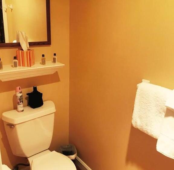Номер Basic, The Campbell House Inn
