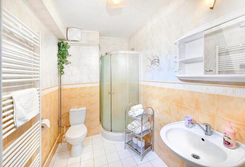 Апартаменты 1 Спальня, Apartmány Renomal
