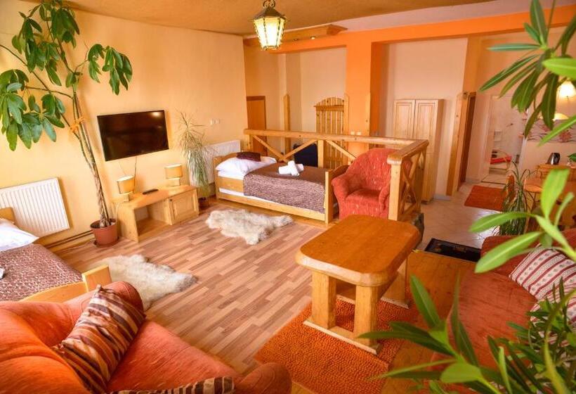 Апартаменты Deluxe 1 Спальня, Apartmány Renomal