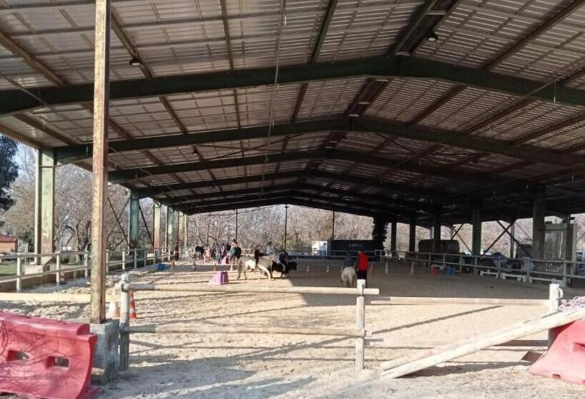 سوییت سوپریور, Le Mas Palegry Chambres D Hôtes Perpignan