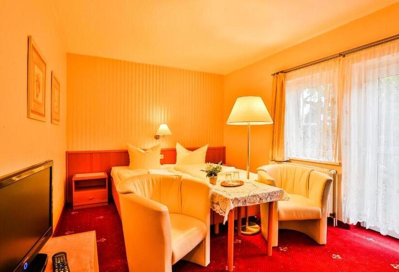 Номер Стандарт, & Pension Villa Camenz