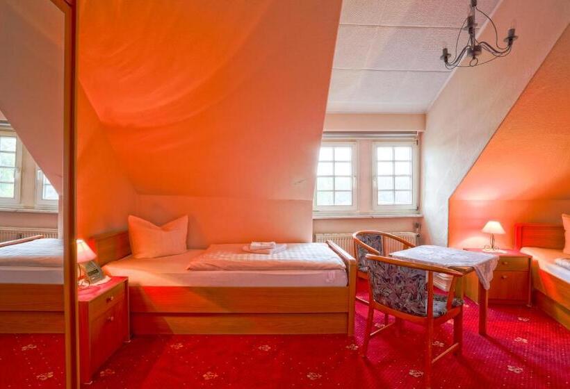 Номер Стандарт, & Pension Villa Camenz