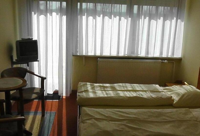 חדר סטנדרט חדר אמבטיה משותף, Domhotel Bed & Breakfast