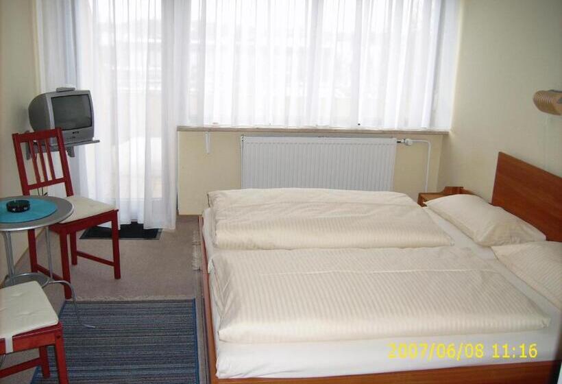 חדר סטנדרט חדר אמבטיה משותף, Domhotel Bed & Breakfast