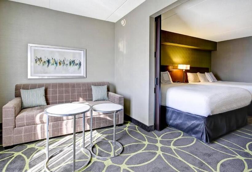 Люкс, Fairfield Inn & Suites By Marriott Guelph