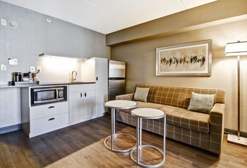 Люкс, Fairfield Inn & Suites By Marriott Guelph