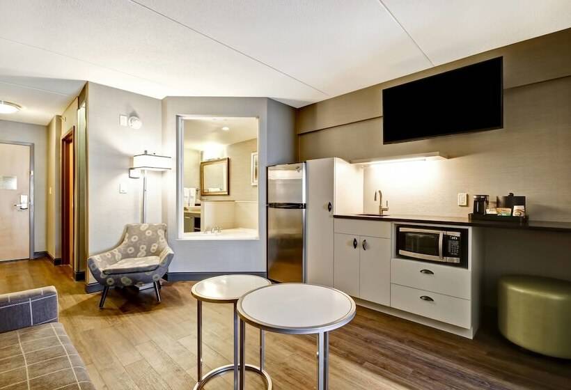 Люкс, Fairfield Inn & Suites By Marriott Guelph