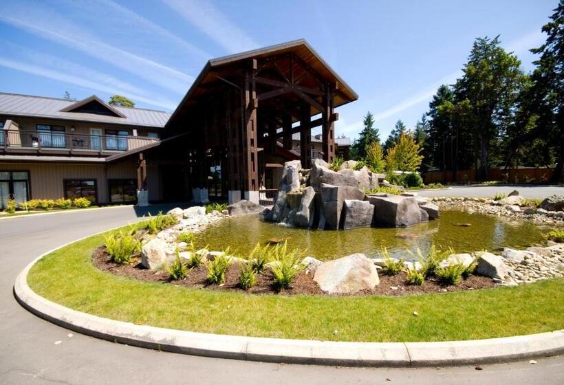 Студия Стандарт, Sunrise Ridge Waterfront Resort