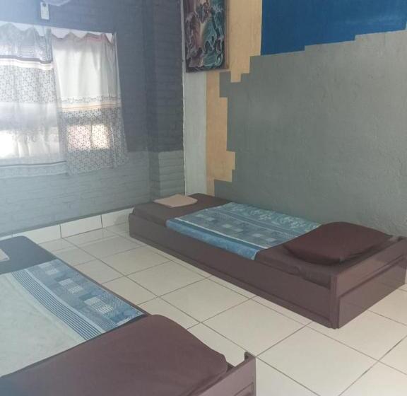 Номер Стандарт, Apollo Hostel