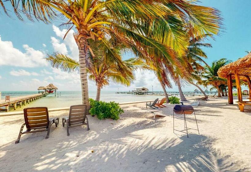 Апартаменты 1 Спальня, Red Ginger @ Caribe Island