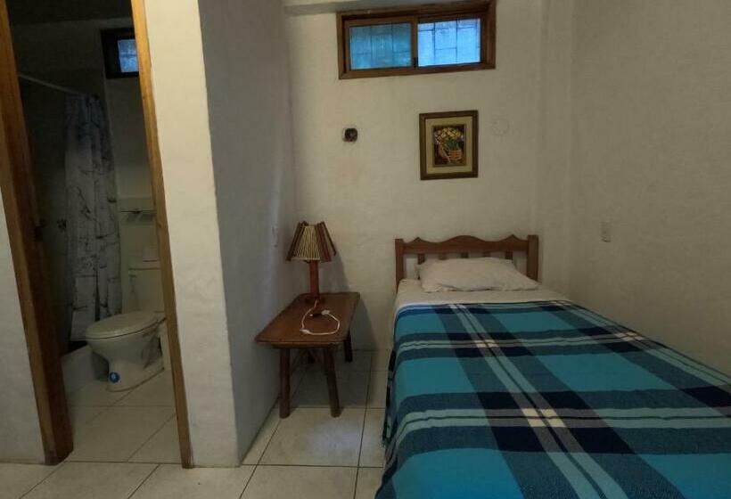 Номер Стандарт, Hostal Solemare