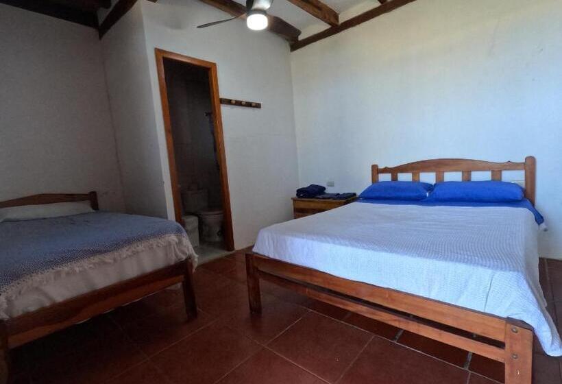 Номер Стандарт, Hostal Solemare