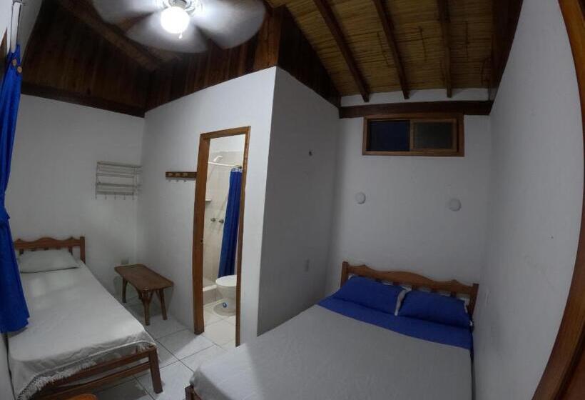Номер Стандарт, Hostal Solemare