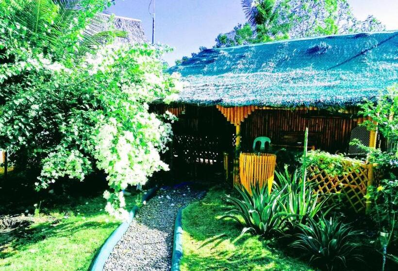 Номер Стандарт Совместная Ванная, Moalboal Bamboo House / Rooms