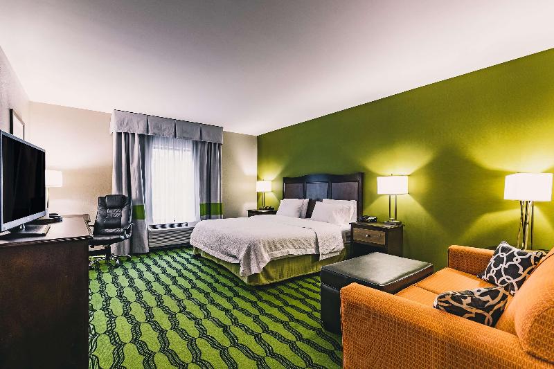 اتاق استاندارد با تخت بزرگ, Hampton Inn Niagara Falls/blvd