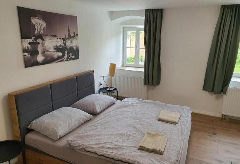 带1个卧室的豪华公寓, Apartmány černý Kohout
