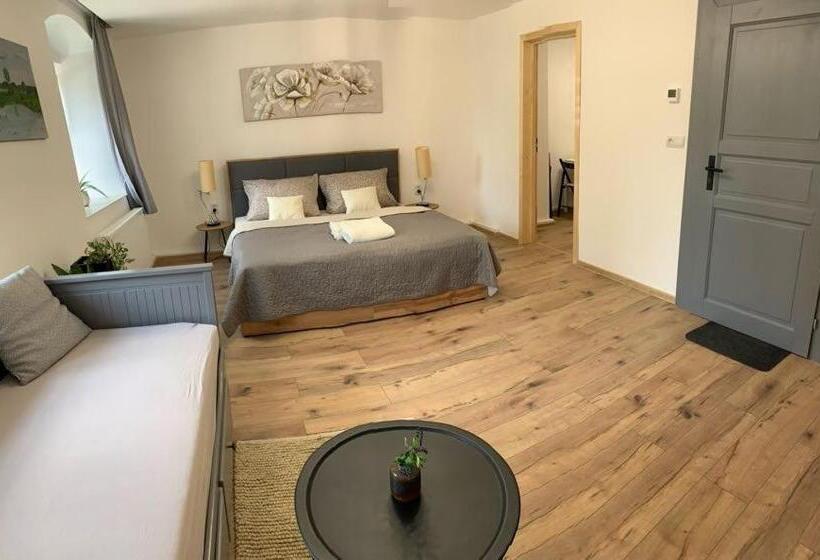 小型豪华套房, Apartmány černý Kohout