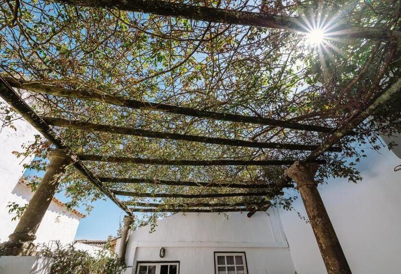 Номер Стандарт, Casa António Moreira