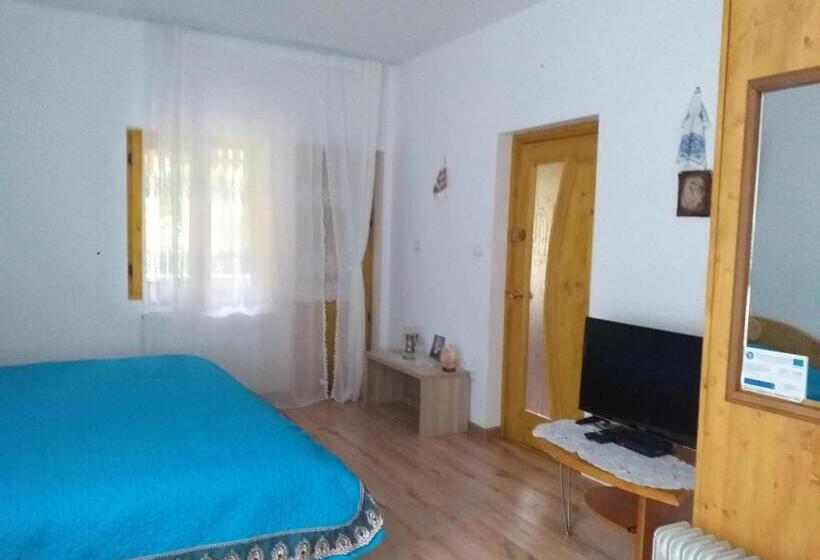 Номер Стандарт, Pensiunea Gură De Rai, Pojorâta