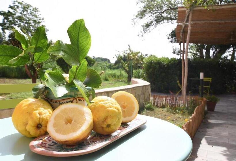 غرفة سوبيريور ثلاثية مطلّة علي البحر, Sonnino B&b