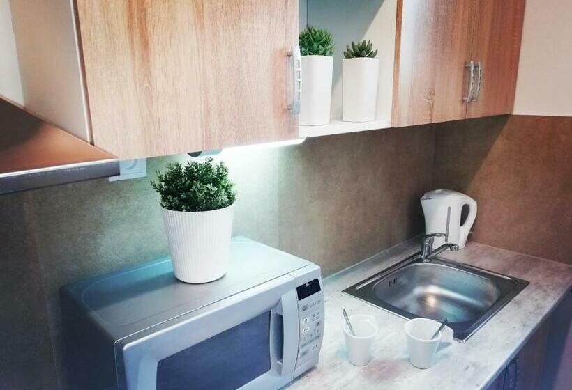 침실 1개 디럭스 아파트, Apartmány U Stříbrných