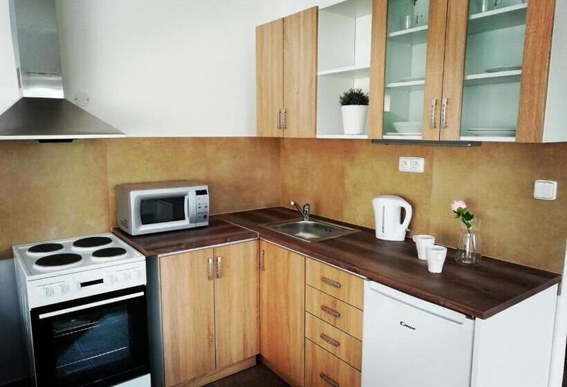 침실 1개 발코니 아파트, Apartmány U Stříbrných