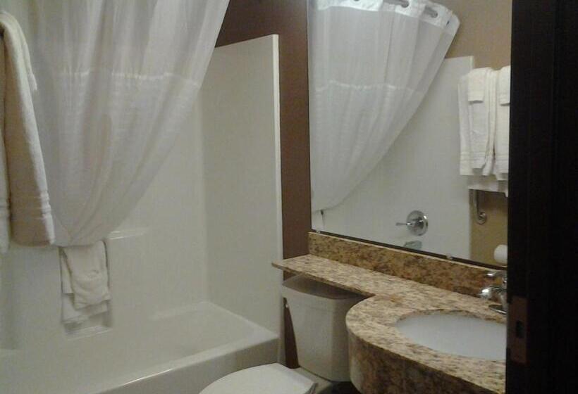 Номер Стандарт, Microtel Inn & Suites Cotulla