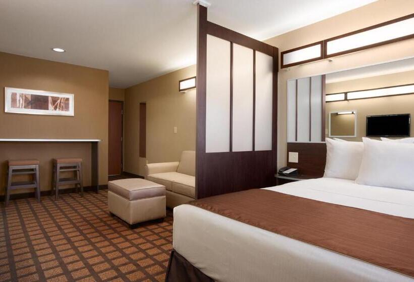 Номер Superior Адаптированный для Инвалидов, Microtel Inn & Suites Cotulla