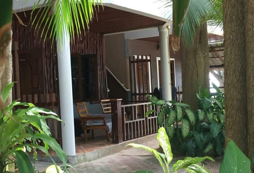 스탠다드 방갈로, Big Fish Resort Koh Tao
